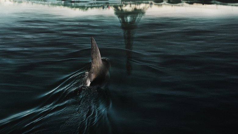 Bild aus Im Wasser der Seine