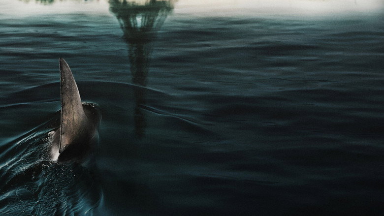Bild aus Im Wasser der Seine