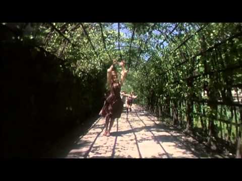 Trailer-Vorschaubild zu Meine Lieder, meine Träume