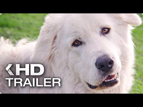 Trailer-Vorschaubild zu Oddball - Retter der Pinguine