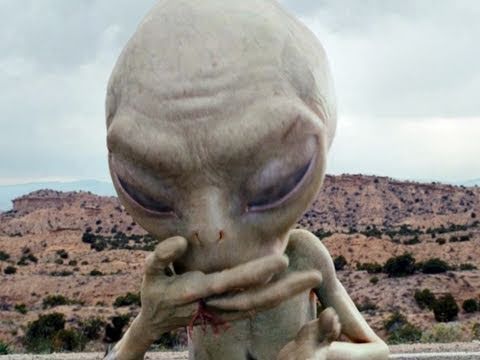 Trailer-Vorschaubild zu Paul - Ein Alien auf der Flucht