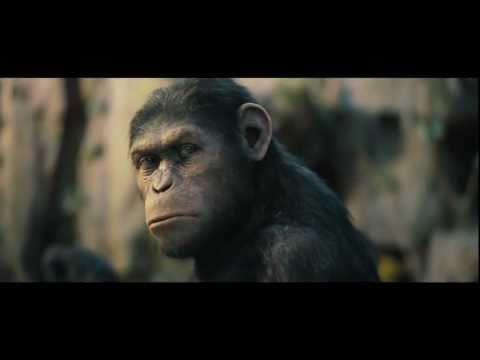 Trailer-Vorschaubild zu Planet der Affen - Prevolution