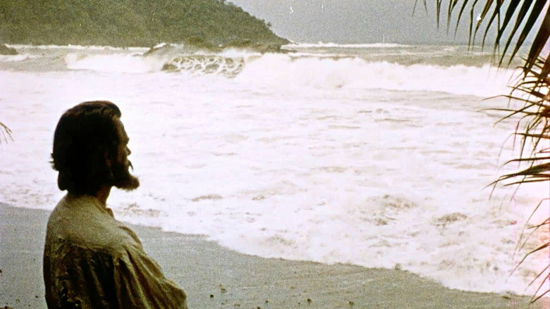 Bild aus Robinson Crusoe
