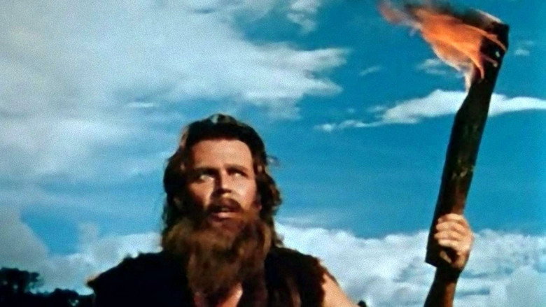 Bild aus Robinson Crusoe