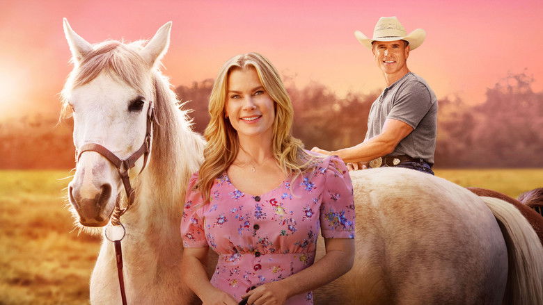Bild aus Romance at Hope Ranch