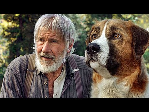 Trailer-Vorschaubild zu Ruf der Wildnis