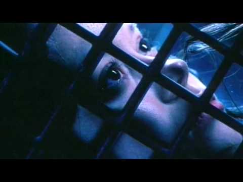 Trailer-Vorschaubild zu Serenity - Flucht in neue Welten