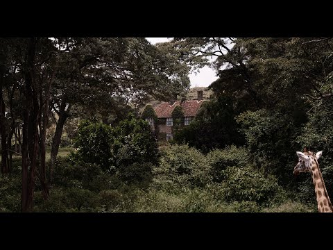 Trailer-Vorschaubild zu sr