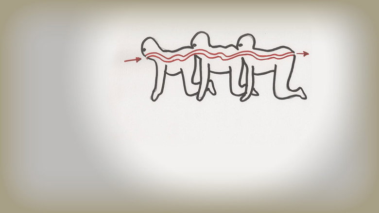 Bild aus The Human Centipede - Der menschliche Tausendfüßler