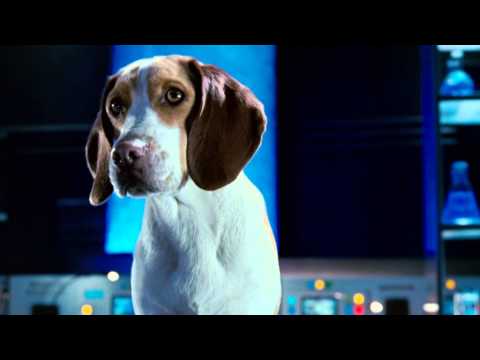 Trailer-Vorschaubild zu Underdog - Unbesiegt weil er fliegt
