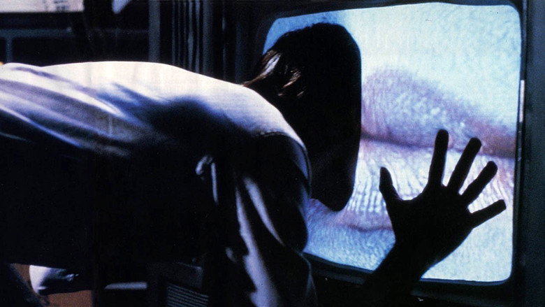 Bild aus Videodrome