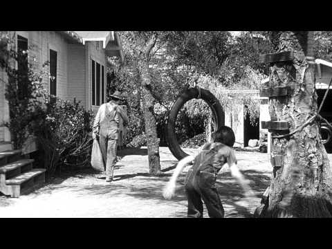 Trailer-Vorschaubild zu Wer die Nachtigall stört