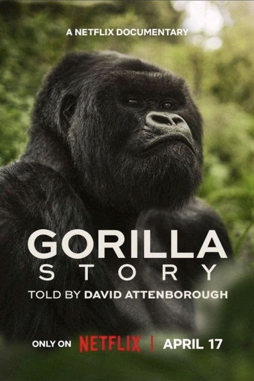 Filmplakat zu A Gorilla Story: Told by David Attenborough