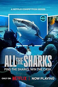 Serienplakat zu All the Sharks
