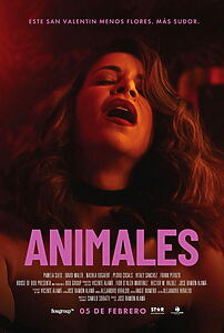 Filmplakat zu Animales