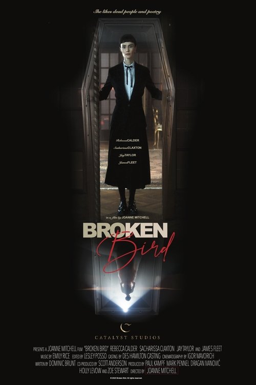 Filmplakat zu Broken Bird