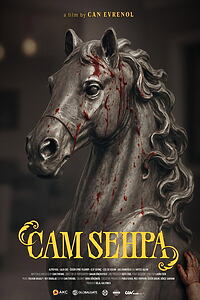 Filmplakat zu Cam Sehpa