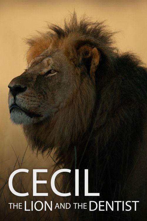 Filmplakat zu Cecil