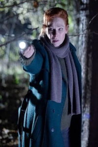 Serienplakat zu Charlotte Link – Einsame Nacht