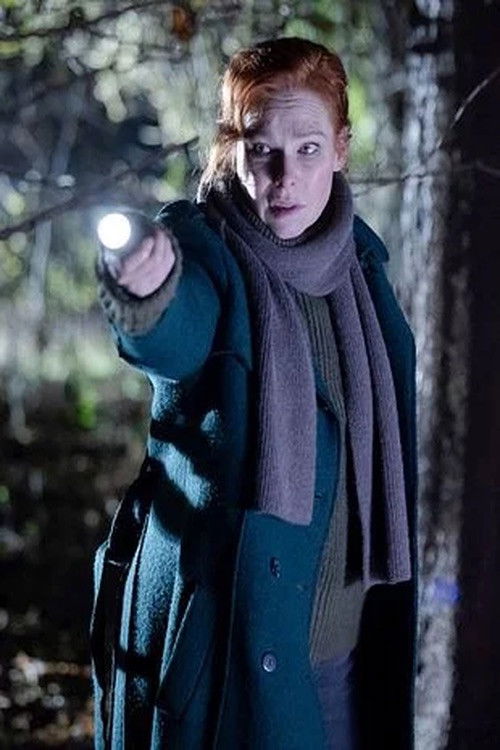 Serienplakat zu Charlotte Link - Einsame Nacht