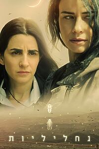 Serienplakat zu Fireflies