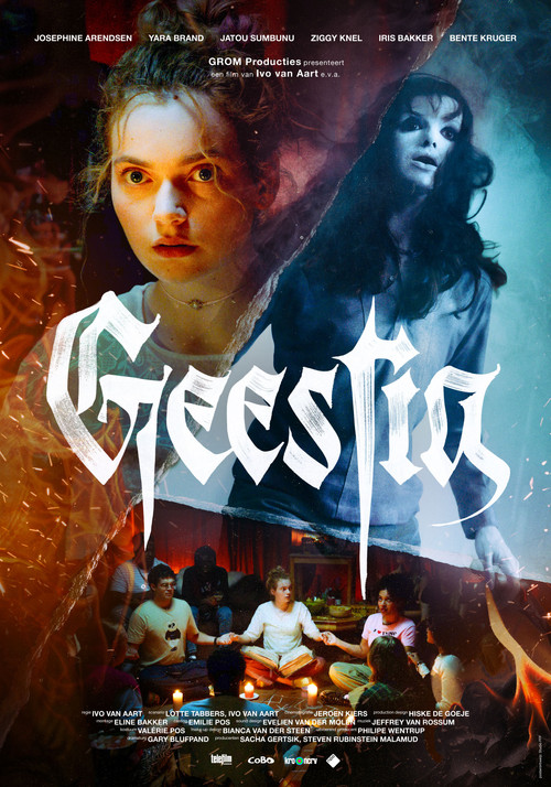 Filmplakat zu Geestig