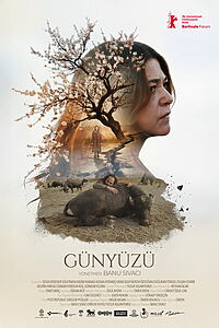 Filmplakat zu Günyüzü