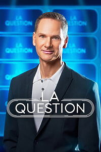 Serienplakat zu LA question