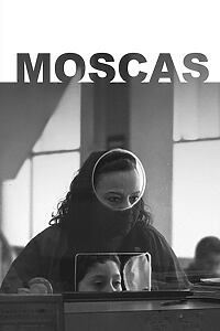Filmplakat zu Moscas