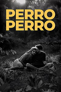 Filmplakat zu Perro perro