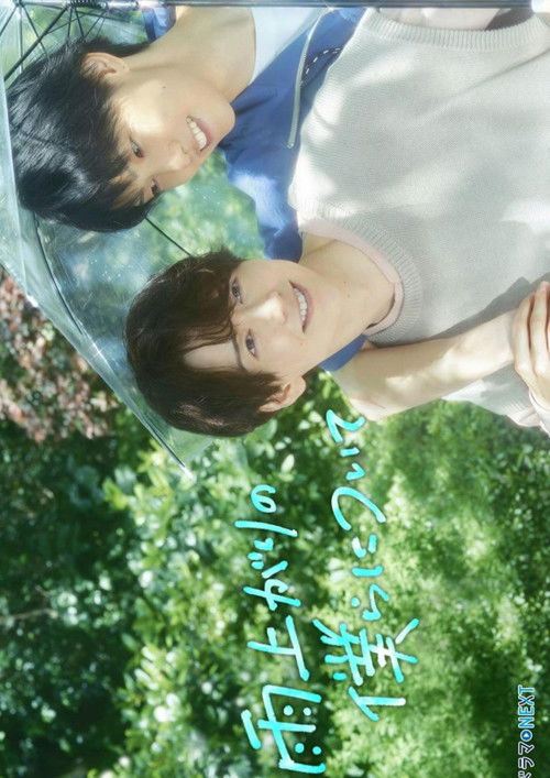 Serienplakat zu Stay By My Side After the Rain