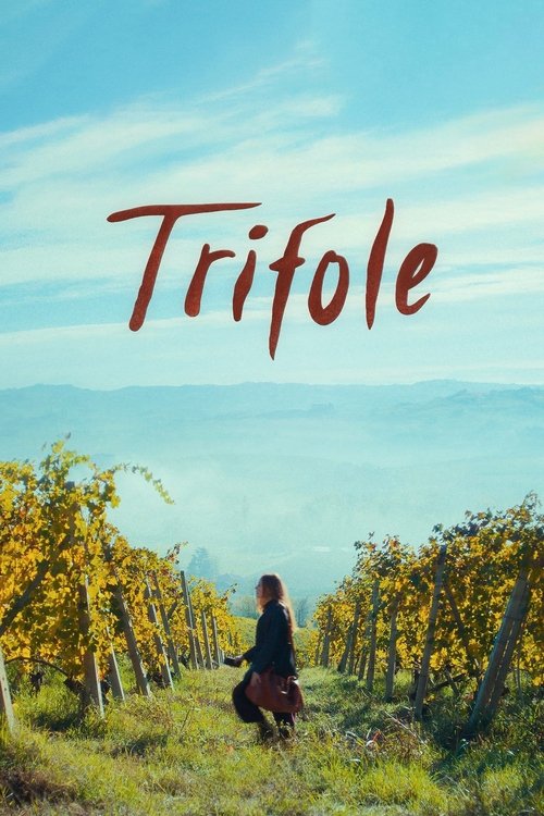 Filmplakat zu Trifole