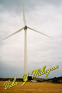 Filmplakat zu Vida y milagros