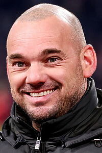 Porträt von Wesley Sneijder