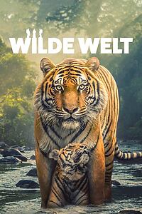 Serienplakat zu Wilde Welt
