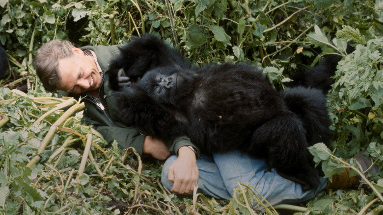Bild aus A Gorilla Story: Told by David Attenborough