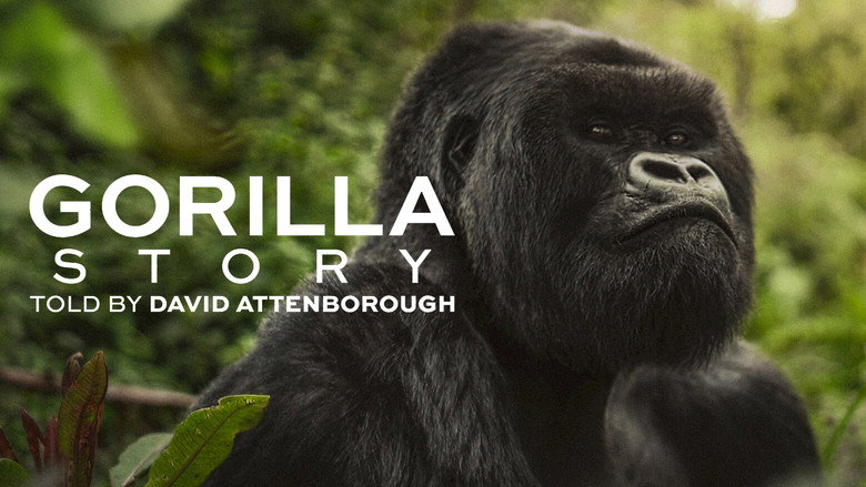 Bild aus A Gorilla Story: Told by David Attenborough