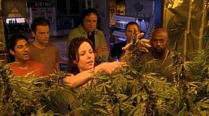 Szenenbild aus Weeds