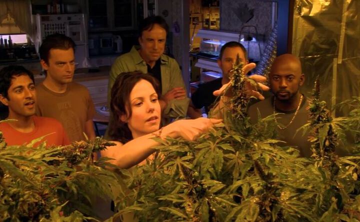 Szenenbild aus Weeds