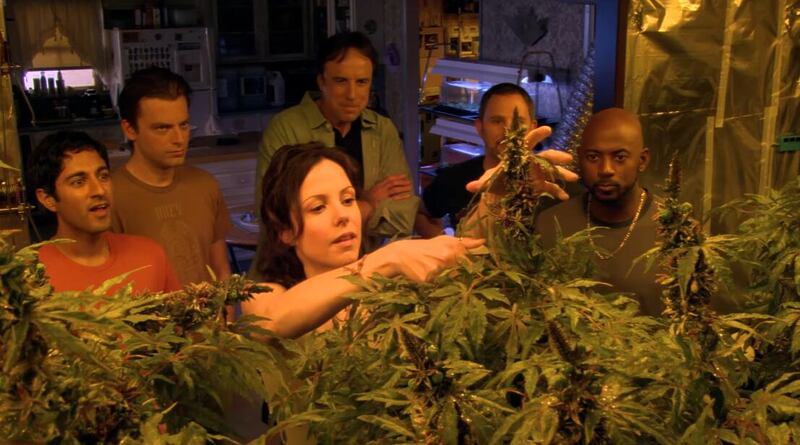 Szenenbild aus Weeds