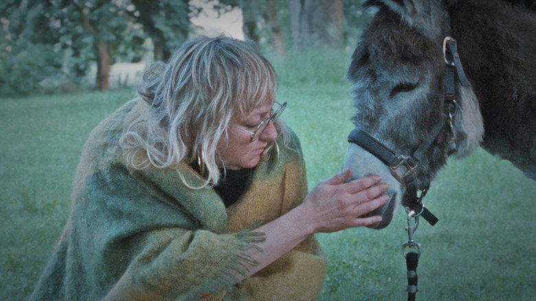 Bild aus Donkey Days