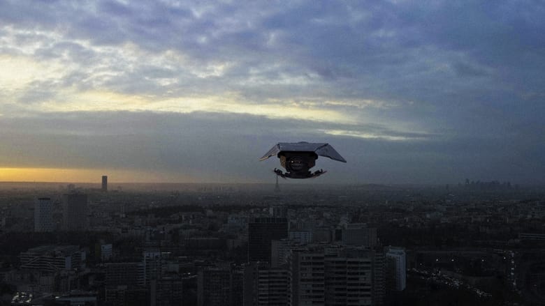 Bild aus Drone