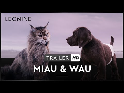 Trailer-Vorschaubild zu Miau & Wau