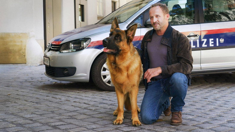 Bild aus der Serie Rex - Vienna Calling