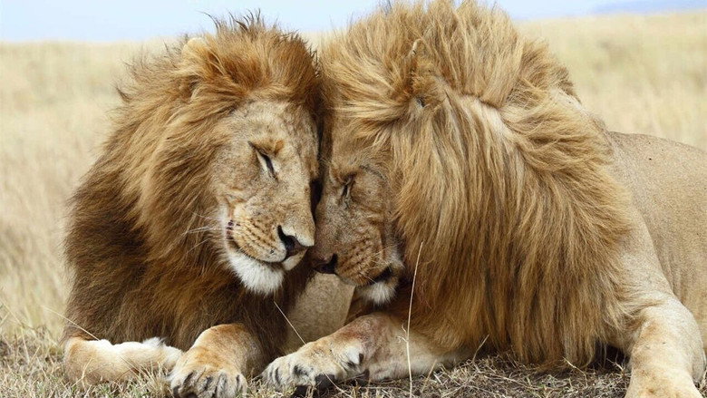 Bild aus Second Nature: Gender and Sexuality in the Animal World