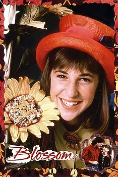 Serienplakat zu Blossom
