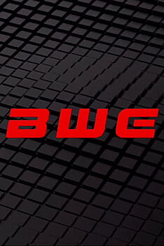 Serienplakat zu Boston Wrestling Entertainment