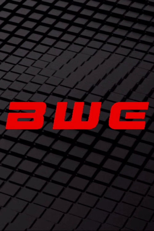 Boston Wrestling Entertainment
