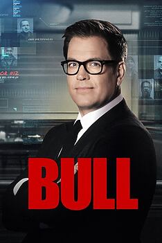 Serienplakat zu Bull