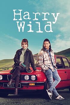 Serienplakat zu Harry Wild – Mörderjagd in Dublin